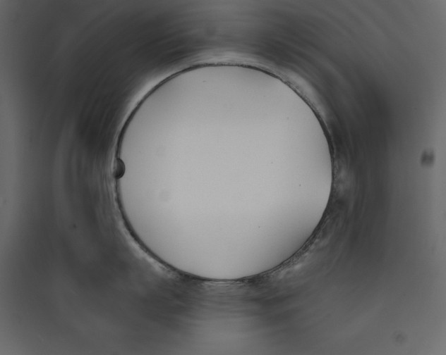 X0000089420863200707131821