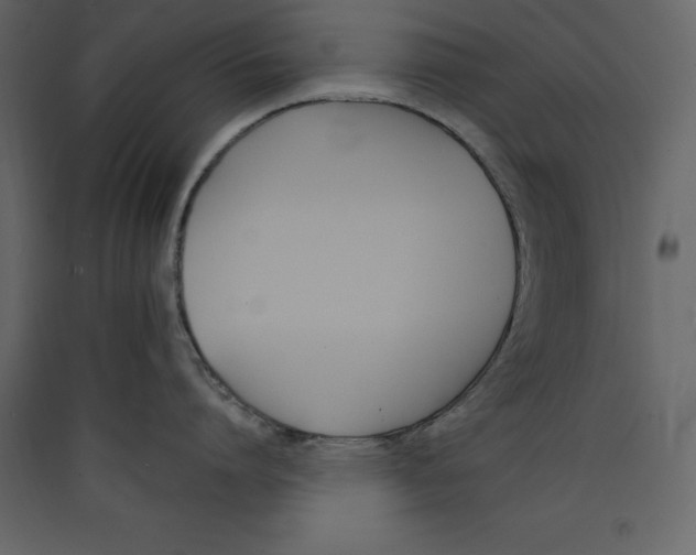 X0000089420864200707131821
