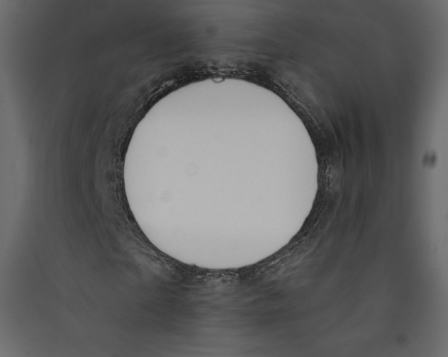 X0000089420865200707131820