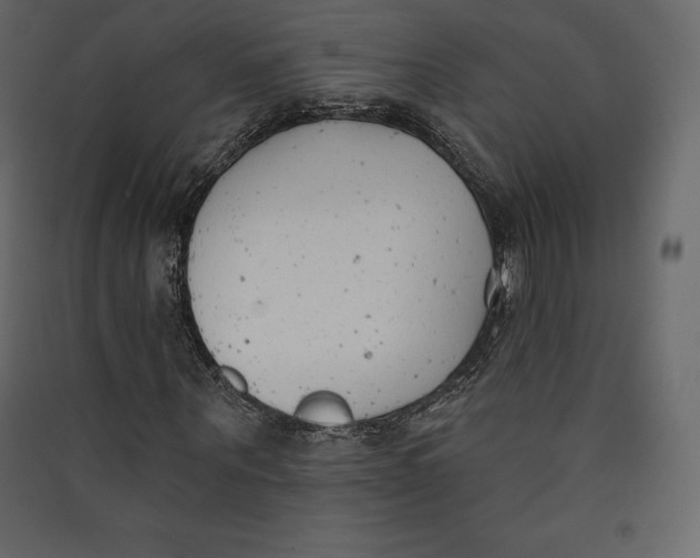 X0000089420867200707131820