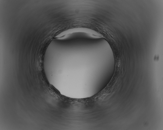 X0000089420868200707131820