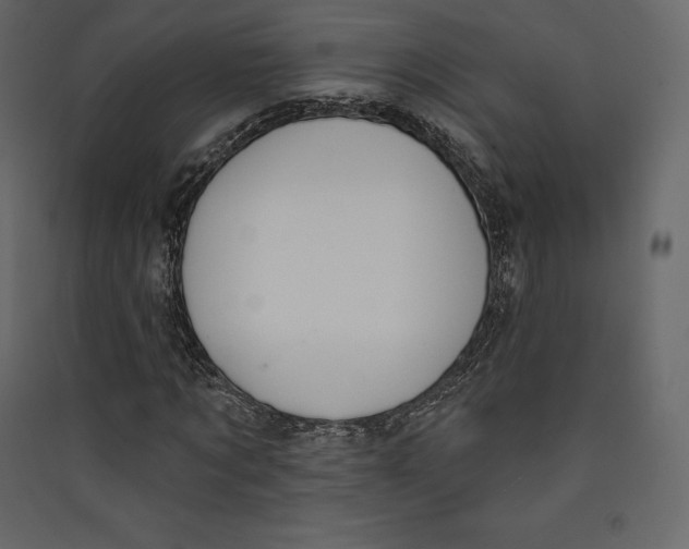 X0000089420869200707131820
