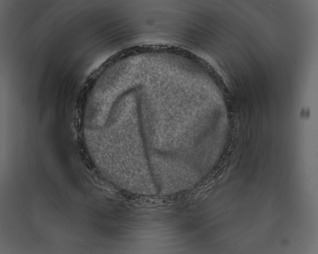 X0000089420871200707131820