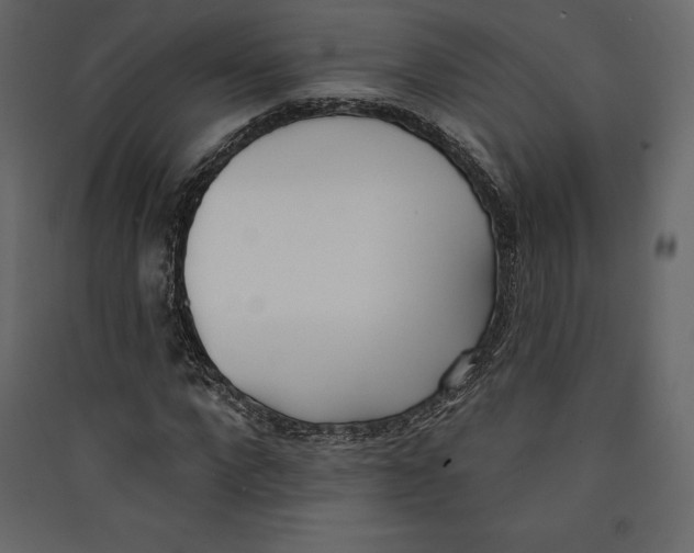 X0000089420872200707131820
