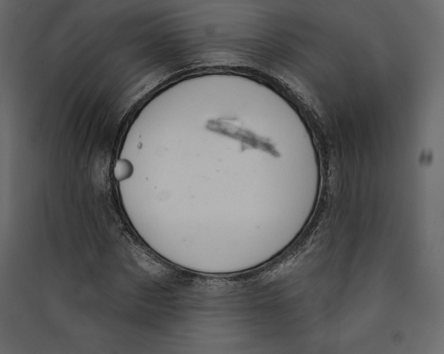 X0000089420873200707131820