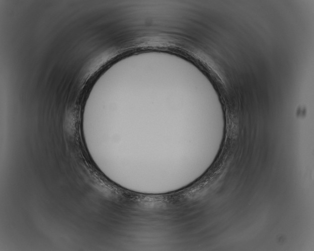 X0000089420874200707131820