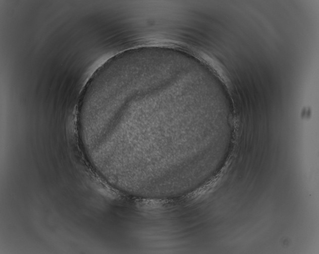 X0000089420875200707131820