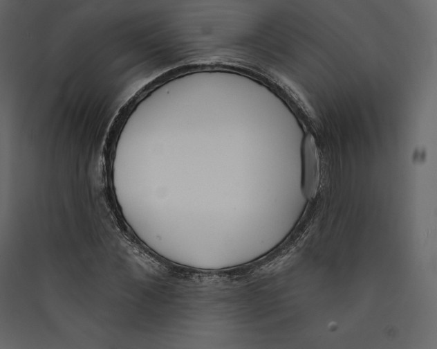 X0000089420876200707131820