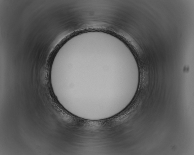 X0000089420878200707131820