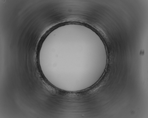 X0000089420880200707131820