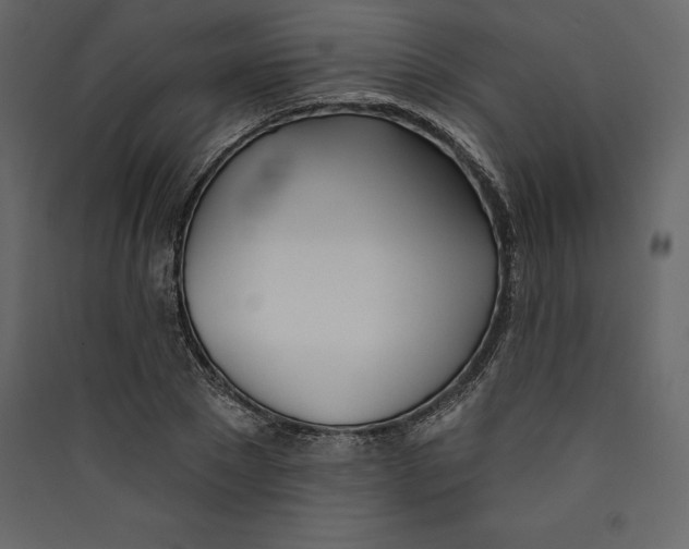 X0000089420881200707131820