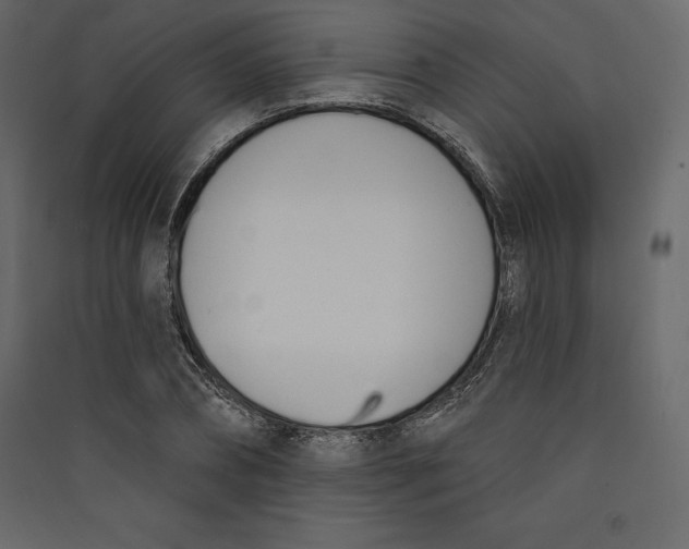 X0000089420882200707131820