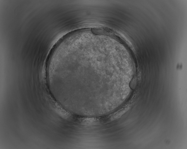 X0000089420883200707131820