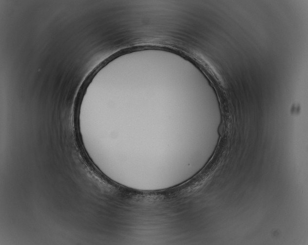X0000089420884200707131820