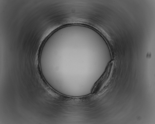 X0000089420885200707131820