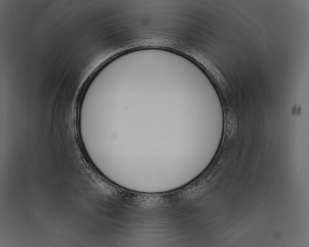 X0000089420886200707131820