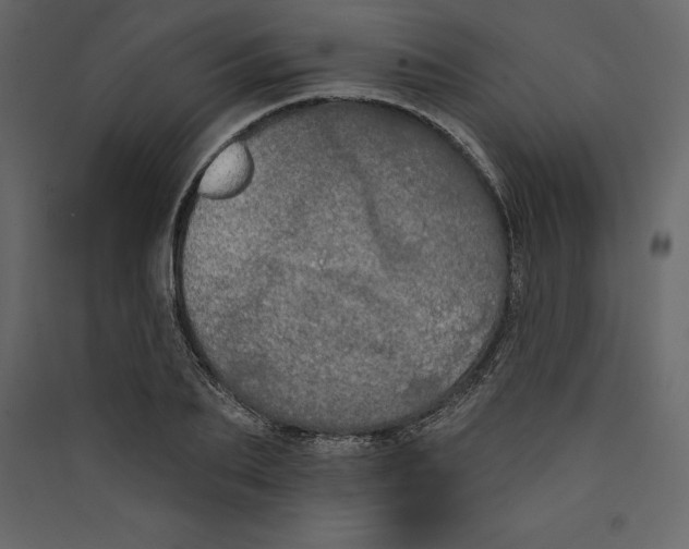 X0000089420887200707131820