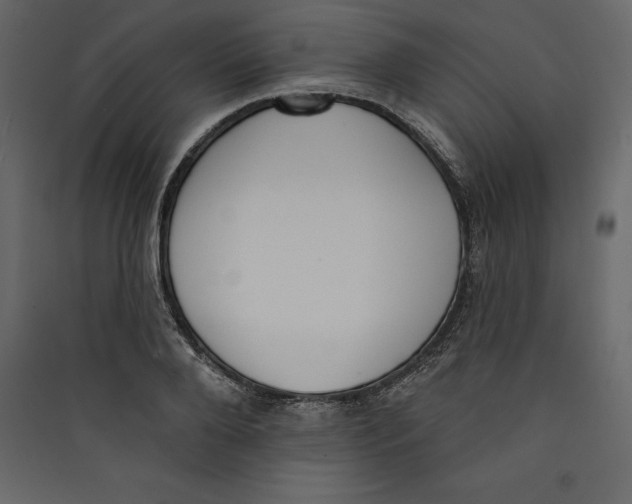 X0000089420888200707131820