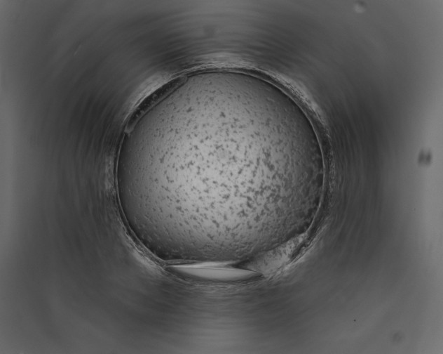 X0000089420889200707131820