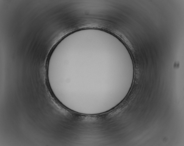 X0000089420890200707131820