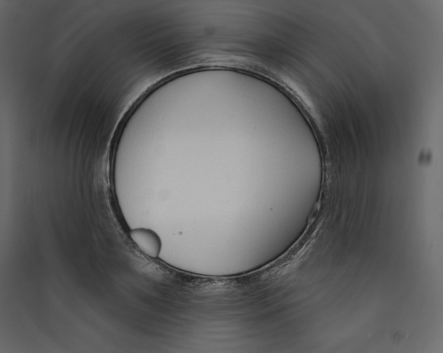 X0000089420891200707131820