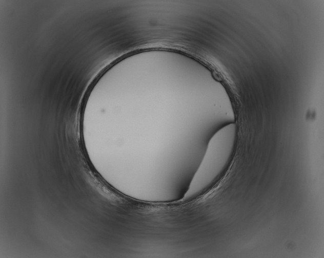 X0000089420892200707131820