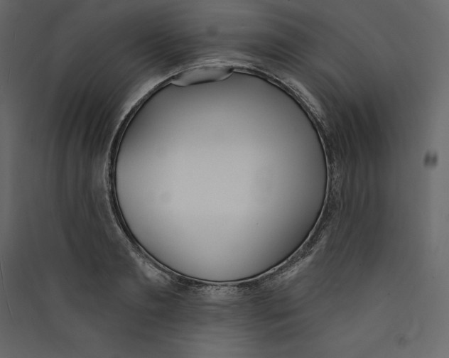 X0000089420893200707131820