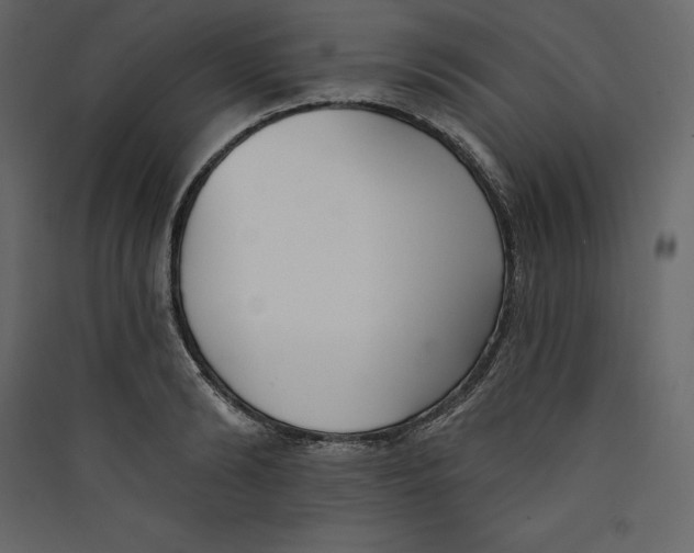 X0000089420894200707131820