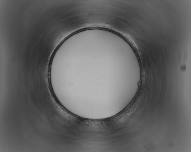 X0000089420895200707131820