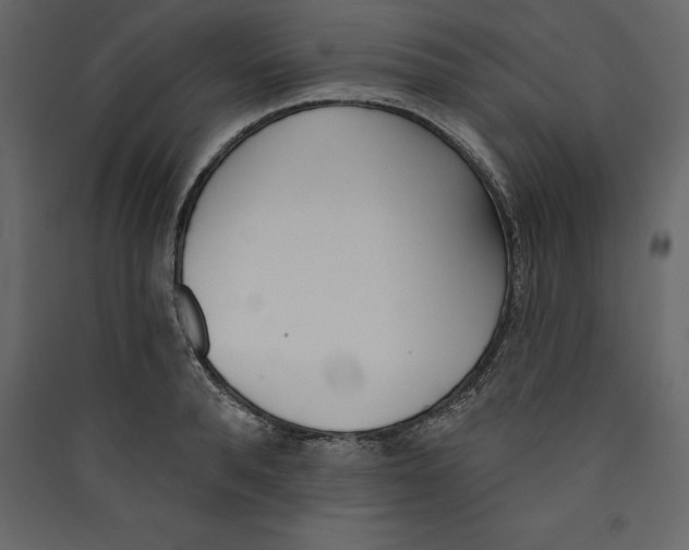 X0000089420896200707131820