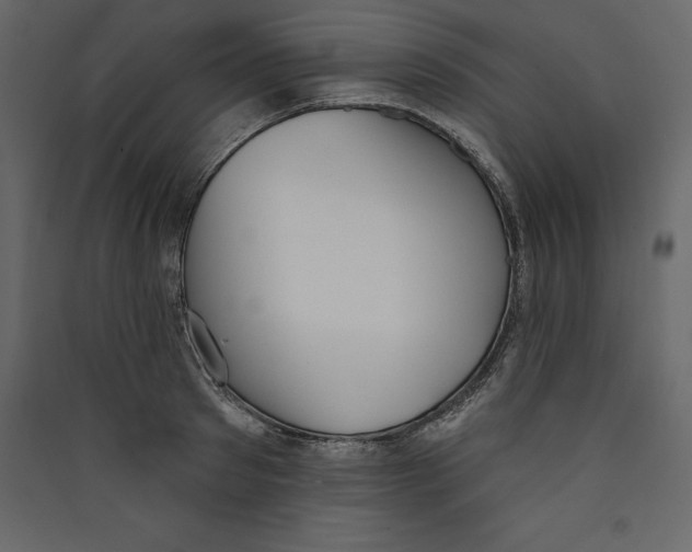 X0000089420897200707131820