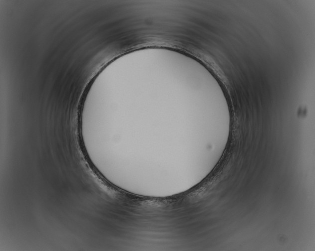 X0000089420898200707131820