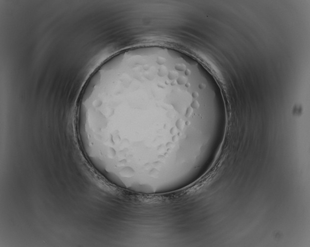 X0000089420899200707131820