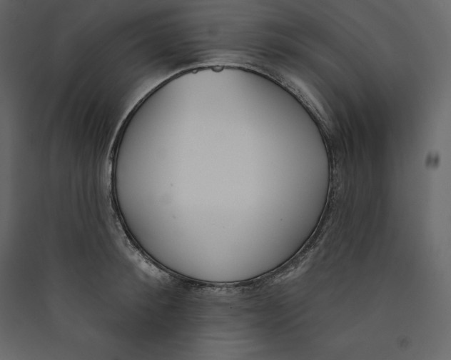 X0000089420900200707131820