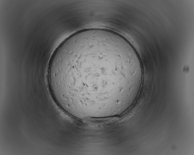 X0000089420901200707131820