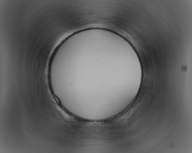 X0000089420902200707131820