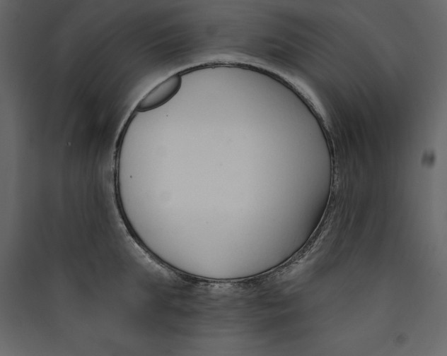 X0000089420903200707131820