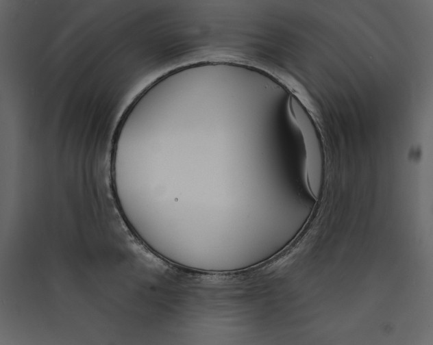 X0000089420904200707131820