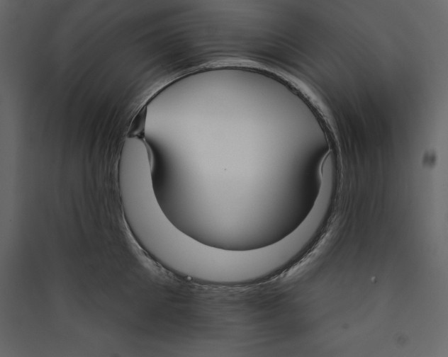 X0000089420905200707131820