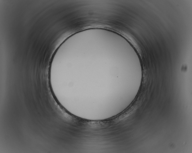 X0000089420906200707131820