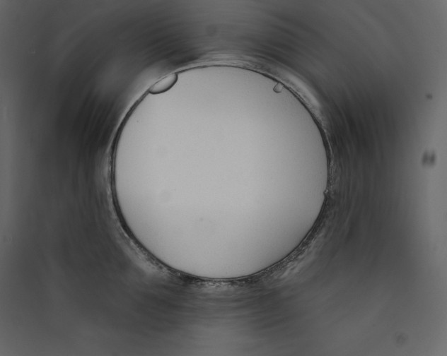 X0000089420907200707131820