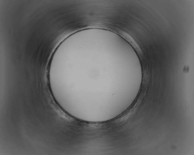 X0000089420908200707131820