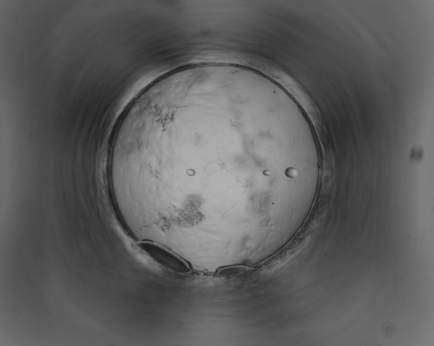X0000089420909200707131820