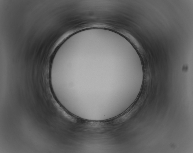 X0000089420910200707131820