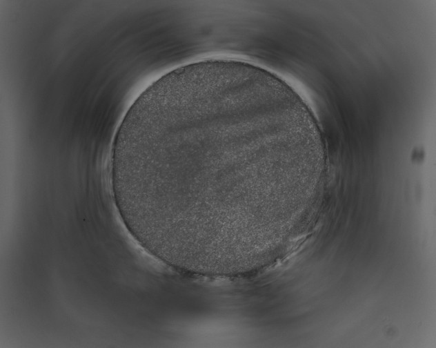 X0000089420911200707131820