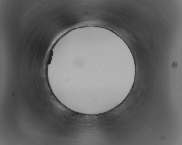 X0000089420912200707131819