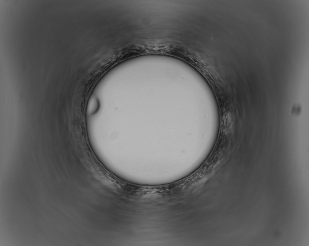 X0000089420913200707131819