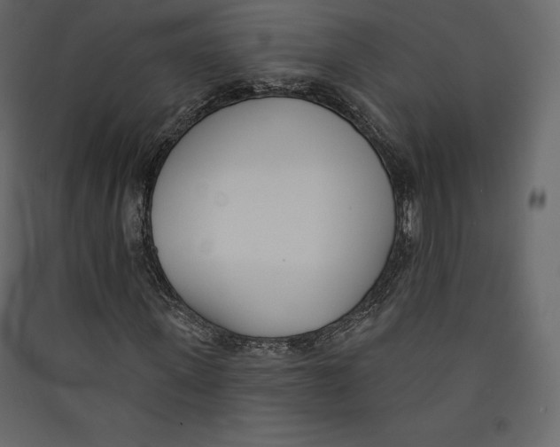X0000089420915200707131819