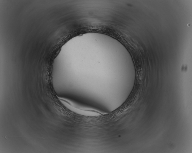 X0000089420916200707131819