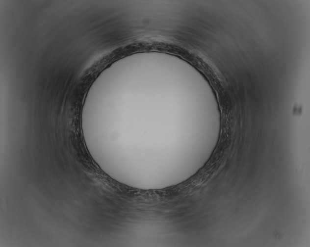 X0000089420919200707131819